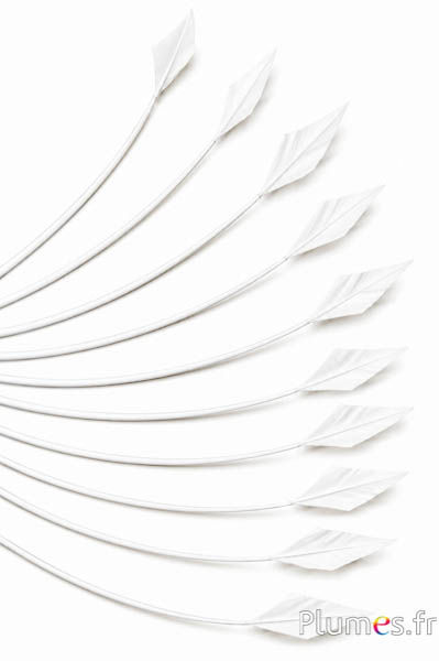 Cigno freccia - 20-30 cm - bianco